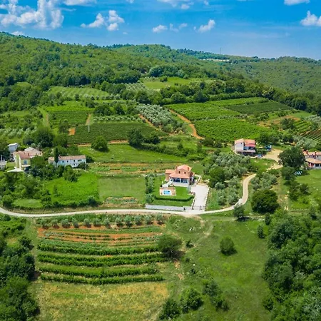 Fiore Spinovci * Motovun